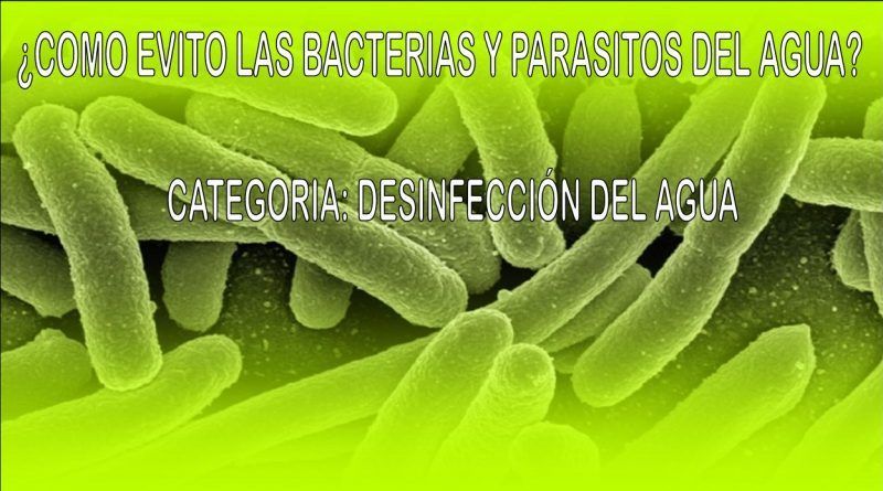 ¿Cómo evitar las bacterias, virus y parásitos, en mi agua de consumo ...